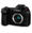 Panasonic Lumix DC-G9 + 12-60mm F3.5-5.6 G Vario