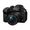 Panasonic Lumix GH6 + 12-60mm F3.5-5.6 G Vario