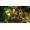 Electronic Arts Plants Vs. Zombies: Garden Warfare 2 PS4