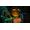 Microsoft Psychonauts 2 PS4
