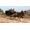Rockstar Games Red Dead Redemption Switch