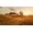 Rockstar Games Red Dead Redemption 2 PC