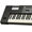 Roland Sintetizzatore Digitale JUNO-DS88