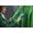 Rowenta Pure Pop Verde (DT2024)