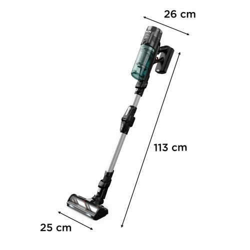 Rowenta X-Force Flex 13.60 Allergy RH9A32WO