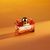 Salvatore Ferragamo Signorina Unica Eau de Parfum 100ml