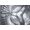 Samsung Lavatrice WW80T554DTT