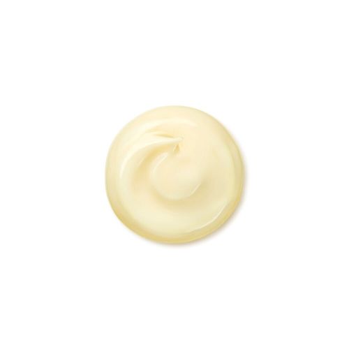 Shiseido Benefiance Wrinkle Smoothing Crema 30ml