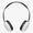 Skullcandy Grind Wireless