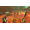 Skybound Games Slime Rancher PS4