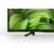 Sony W800 32" (KD-32W800)