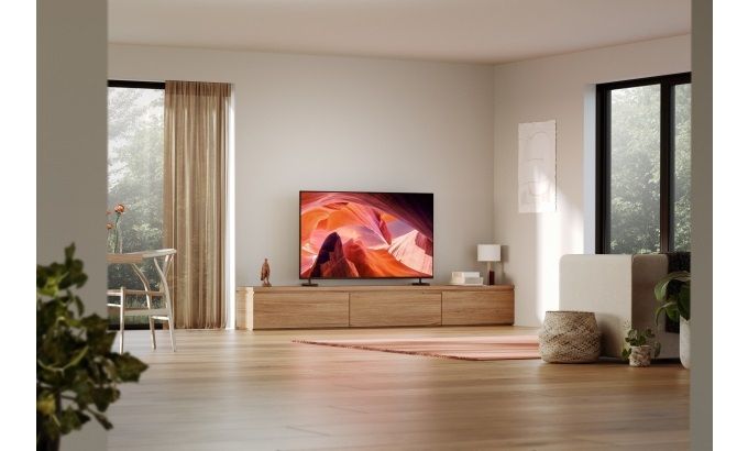 Sony X80L 65" (FWD-65X80L)