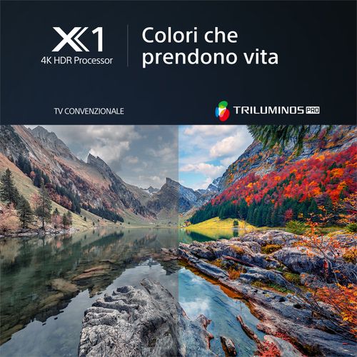 Sony X80L 65" (KD-65X80L)