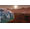 Paradox Surviving Mars Xbox One