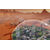 Paradox Surviving Mars Xbox One