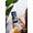 TCL 50 SE 256GB
