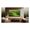 TCL C7K 75" (75C79K)