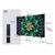 TCL Q6C 65" (65Q6C)
