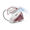Tefal GV9560