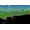 505 Games Terraria Switch