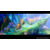 NIS America The Alliance Alive HD Remastered - Awakening Edition PS4