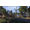 Bethesda The Elder Scrolls Online: Morrowind PS4