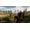 CD Projekt RED The Witcher 3: Wild Hunt - Complete Edition Xbox Series X