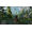 CD Projekt RED The Witcher 3: Wild Hunt - Complete Edition Switch