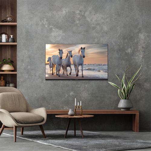 Thomson UA5S13 55" (55UA5S13)