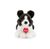 Trudi Border Collie Scott M