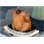 Weber Supporto di cottura per pollame 6731