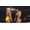 2K WWE 2K24 PS4