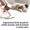 Xiaomi Vacuum Cleaner G10 Plus