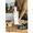 Zwilling Enfinigy Stick