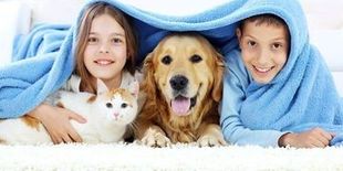 Speciale Animali: guida all’acquisto dei migliori prodotti per cane e gatto