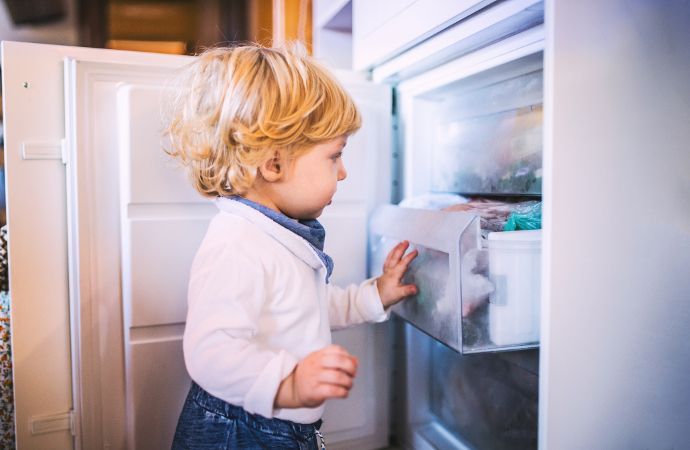 Vendita online prodotti per la pulizia del frigorifero
