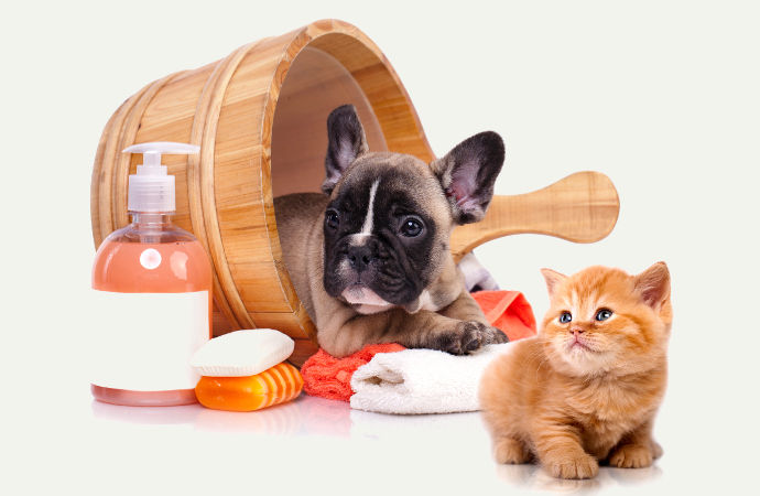 prodotti per cura e igiene animali