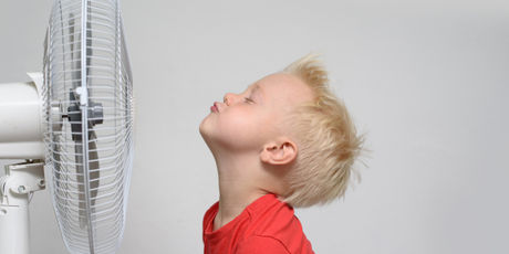 Molto più che aria fresca: guida ai migliori ventilatori del momento