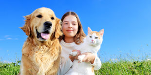 Antiparassitari per cani e gatti: guida all’acquisto dei migliori prodotti