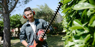 La cura del giardino a portata di mano: guida all’acquisto del tagliasiepi