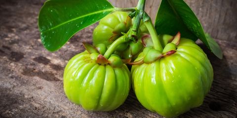 garcinia cambogia