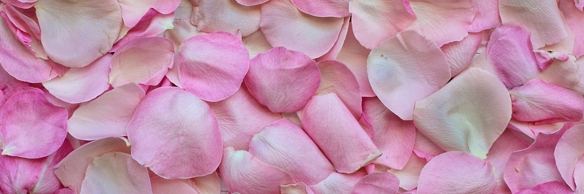 Acqua di rose benefici per pelle e capelli - Top Farmacia