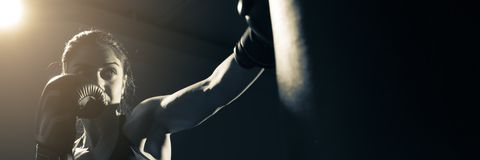 fit boxe trovaprezzi