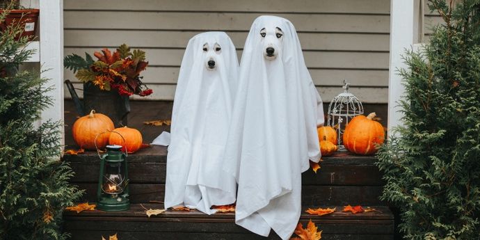 halloween costumi e maschere
