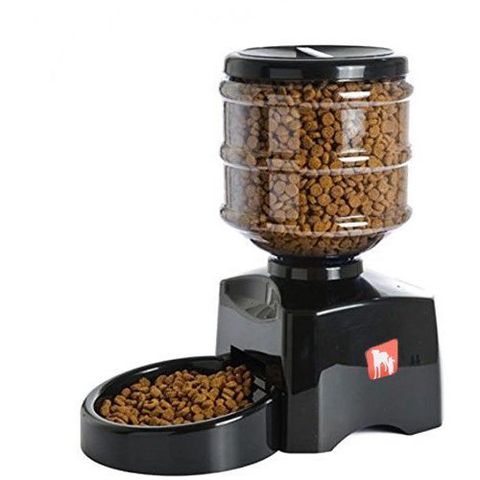 Mangiatoia gatti automatica