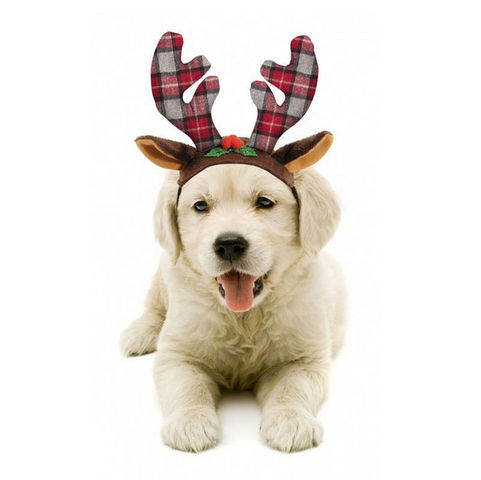 cappellino renna per cani trovaprezzi