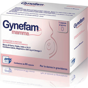 Effik Gynefam Folic 90capsule