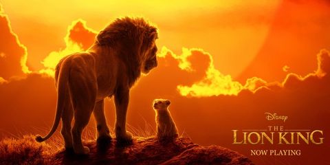 il re leone film 2019