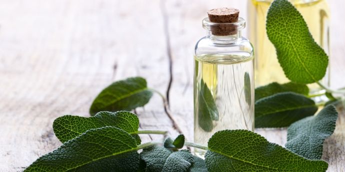 salvia come integratore alimentare