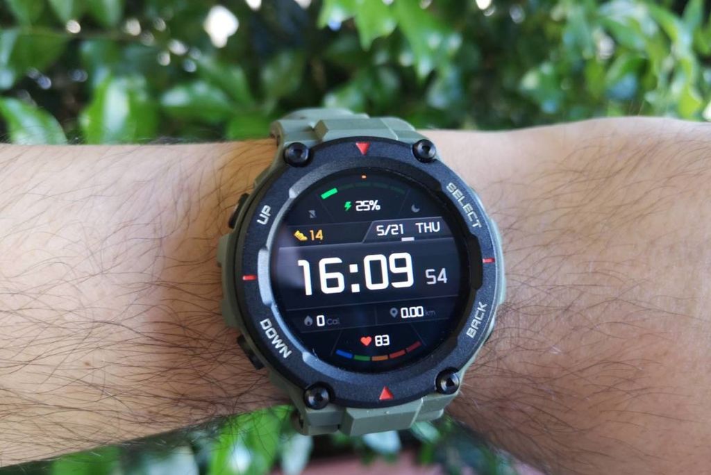 Display Amazfit T-Rex